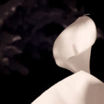 Simplicity vs Simple – The Confusion of Many Photographers