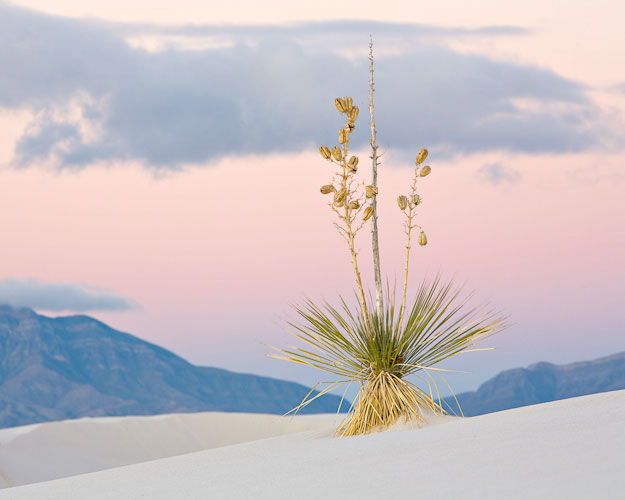 Nature photography competition winner Nature photography competition winner