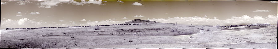 Infrared panorama Near Gisborne. 22,526 x 4,000 or 90MP