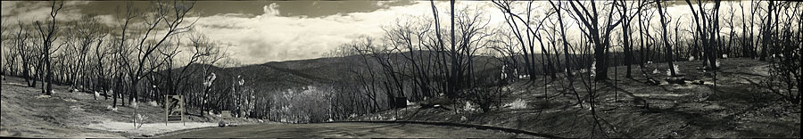 Infrared panorama Near Tourourrong Reservoir. 32,125 x 5,567 or 179MP