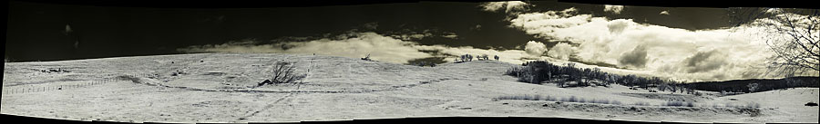Canon 350 Infrared Panorama 30,291 x 4,626 or 140MP