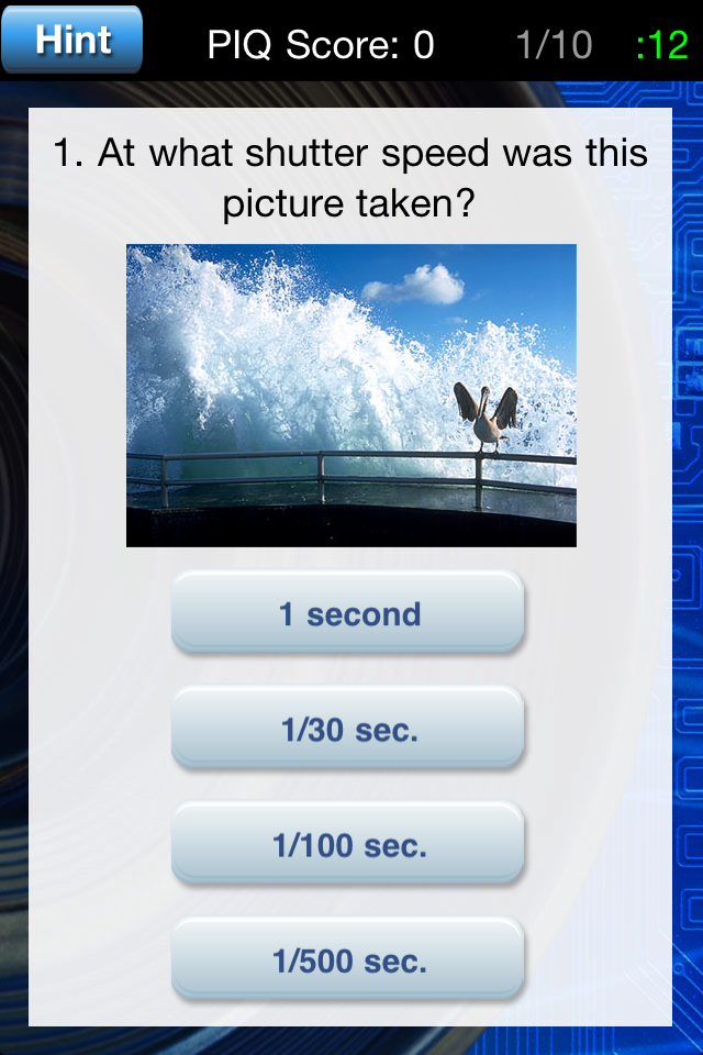 4_PIQ_Q-multiplechoice_pelicanjetty_copy