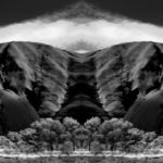 Jane Crutchfield Amateur 5th Landscape