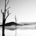 Terry Chuang Amateur 4th Landscape