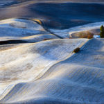 Vi Wilson Amateur 2nd Landscape