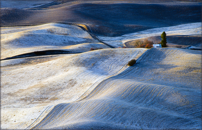 ViWilson-Amateur-2nd-Landscape