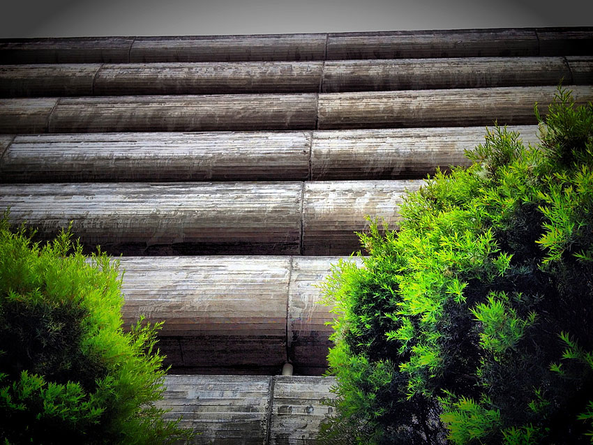 iPhone photography