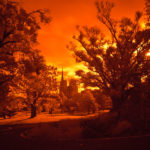 Initial Infrared Photography Review Testing of the Sony a77 dSLR
