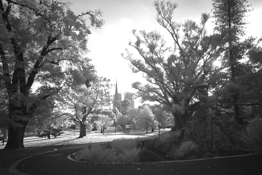 Review of Sony a77 for infrared photography