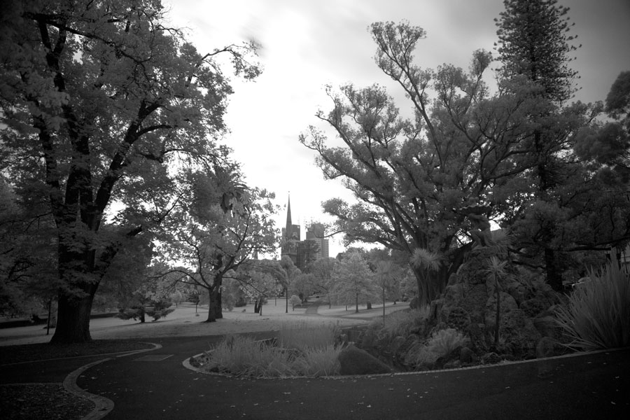Review of Sony a77 for infrared photography