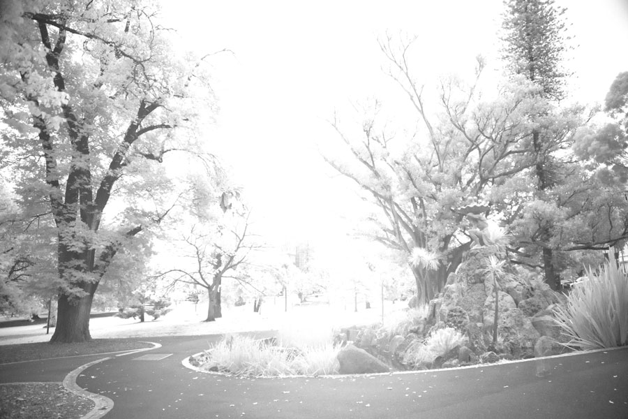 Review of Sony a77 for infrared photography