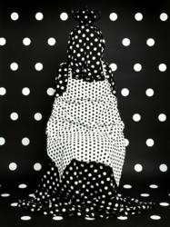 Patty Carroll's Photography