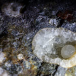 Unknown aggregate rock with small geodes