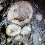 Unknown aggregate rock with small geodes