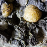 Unknown aggregate rock with small geodes