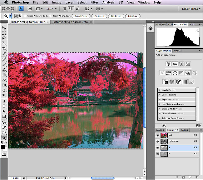 Processing Infrared Photography Step By Step