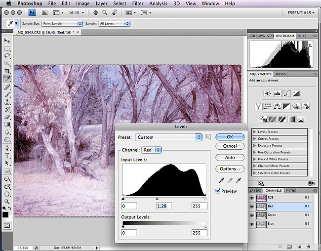 Processing Infrared Photography Step By Step