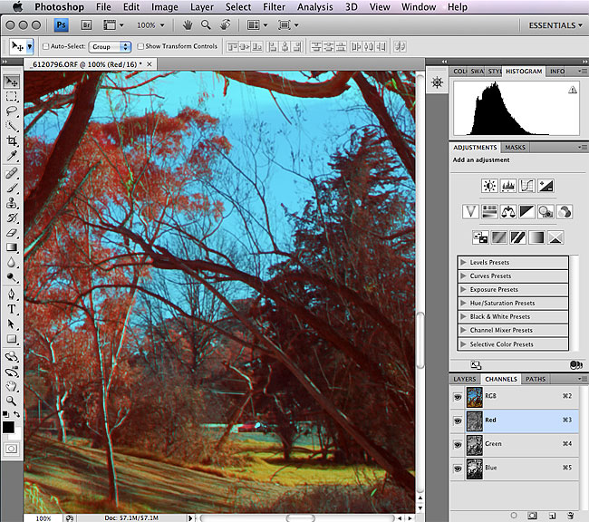 Processing Infrared Photography Step By Step
