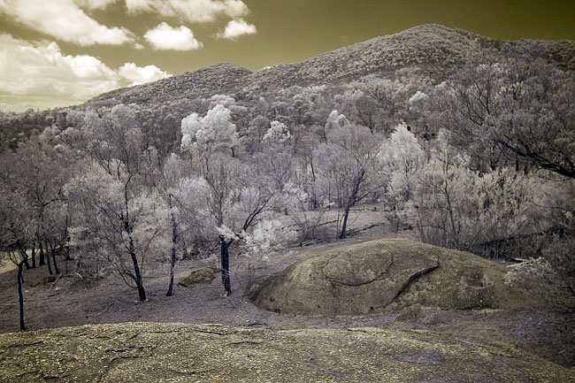 Photography by Wayne J. Cosshall