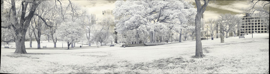 Infrared panorama Infrared panorama