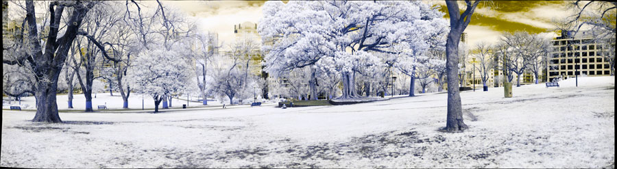 Infrared with some Photoshop processing Or here after more processing in Photoshop