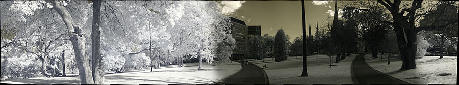 Panorama photography from Fitzroy Gardens Panorama photography from Fitzroy Gardens