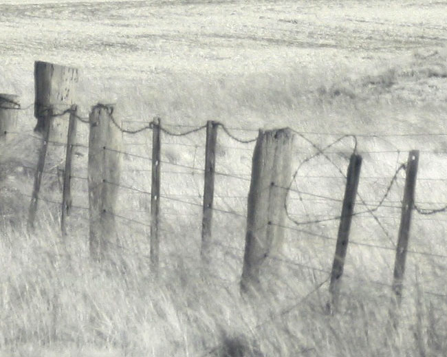 Infrared panorama with the GigaPan Epic A 100% section