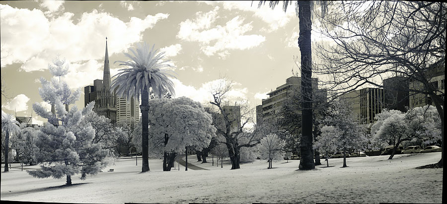 Fitzroy Gardens in Infrared Fitzroy Gardens in Infrared
