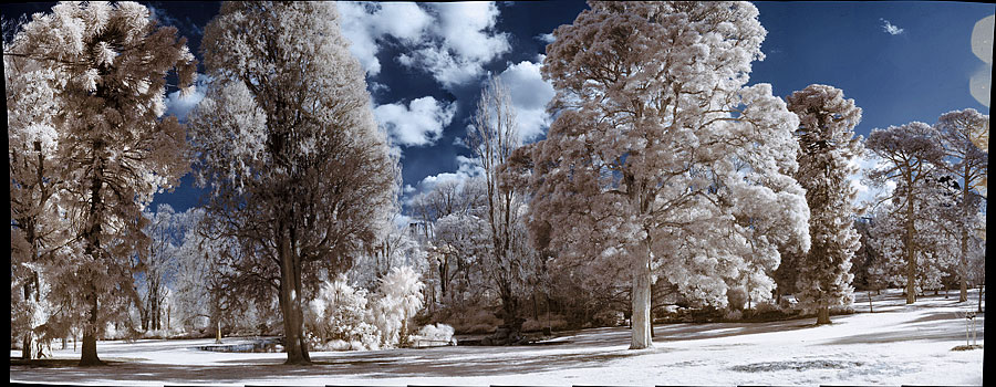 Infrared panorama Infrared panorama
