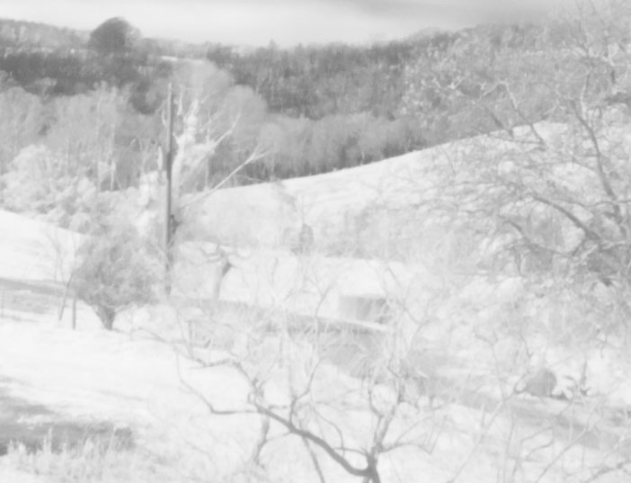 Panasonic Lumix G1 infrared image 100% section from the Red channel